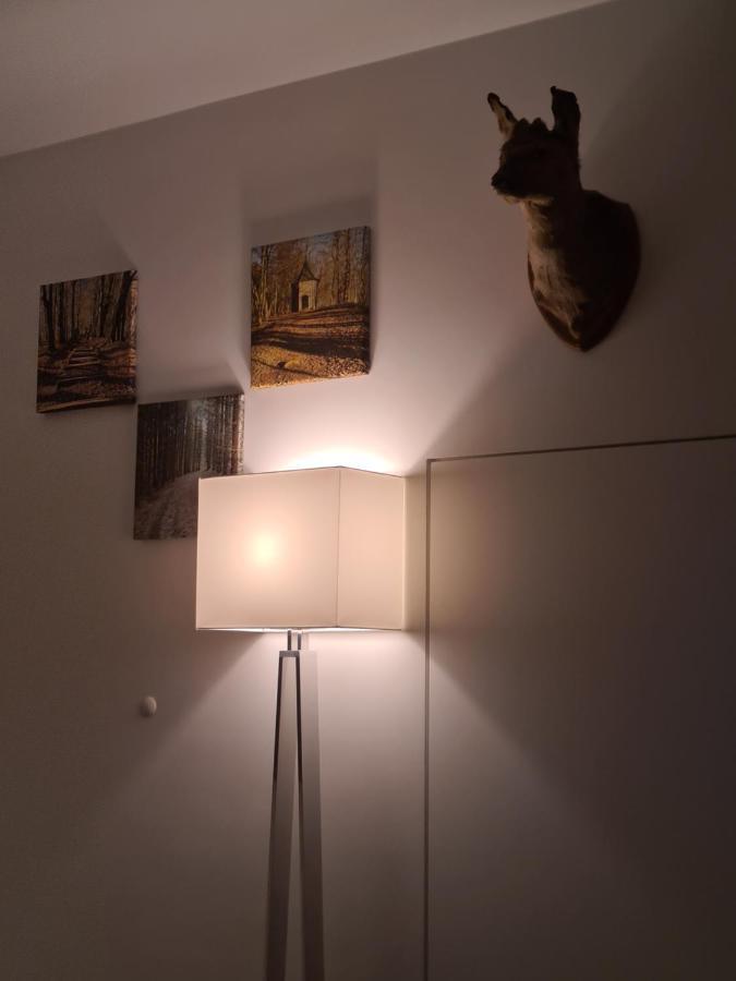 Terrasses De Malmedy - Duplex "Happiness" - Pellet & Airco- Apartman Kültér fotó
